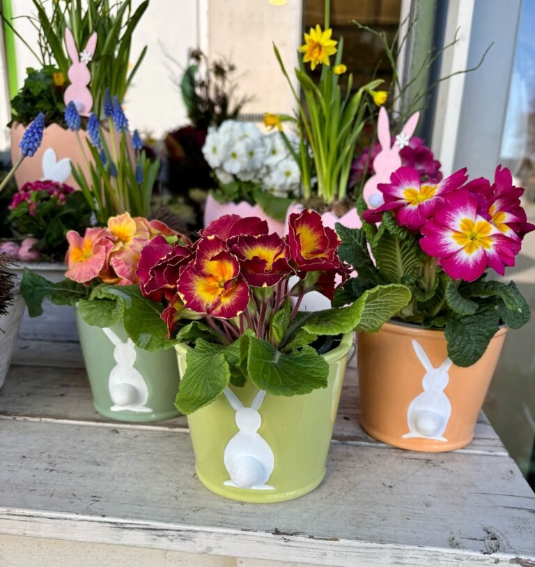 WhatsApp Image 2025-03-14 at 20.15.08 (1)