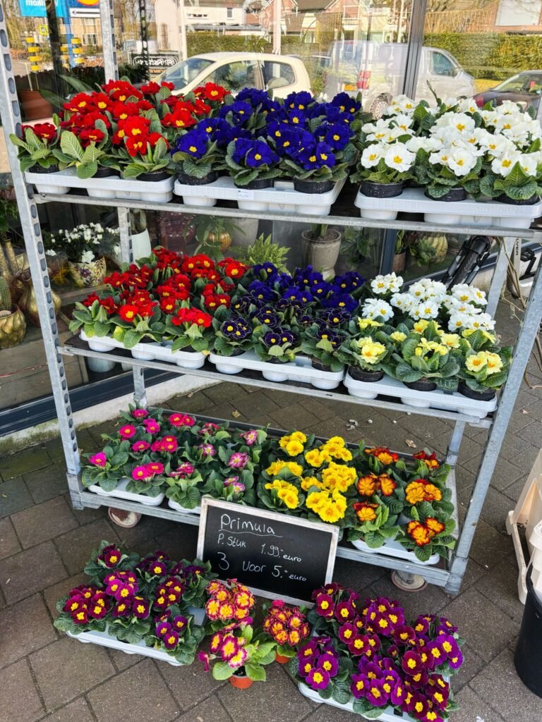 WhatsApp Image 2025-03-14 at 20.15.09 (1)